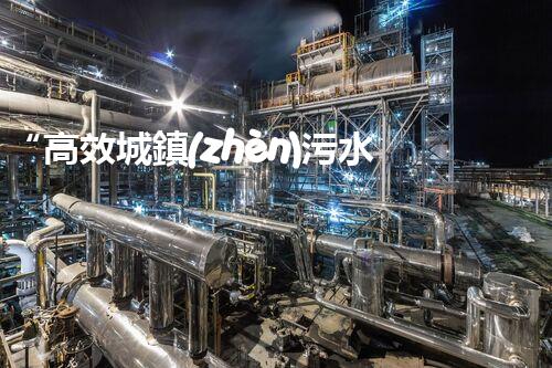 “高效城鎮(zhèn)污水處理流程，守護(hù)碧水藍(lán)天新篇章”